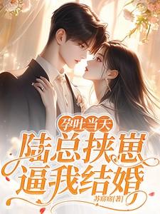 突然孕吐总裁叫老婆