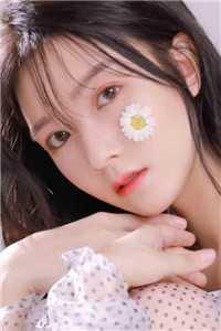 蜜藕莲花盆陈楠