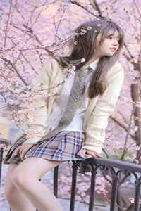 贺舒婷是哪里人