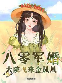 八零军婚大院飞来金凤凰宋烟
