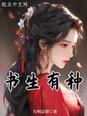 书生有种 大明总督