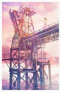 我的病娇女总裁老婆爽文推荐