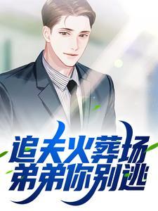 江洋许以薇免费阅读