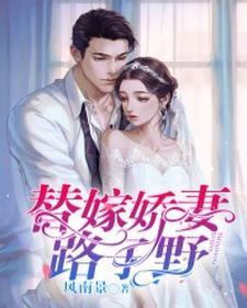 男主傅北辞女主叶筝