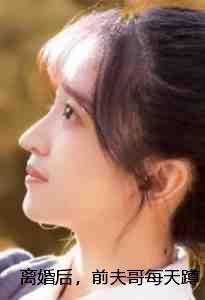 离婚后前夫他天天来追我免费阅读