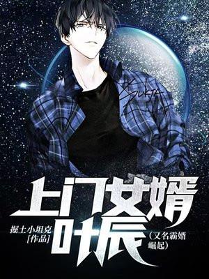 上门女婿叶辰免费全文阅读完整版