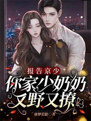 报告少夫人她逃了免费阅读