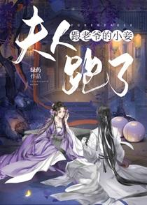 夫人跟老爷的小妾跑了免费阅读