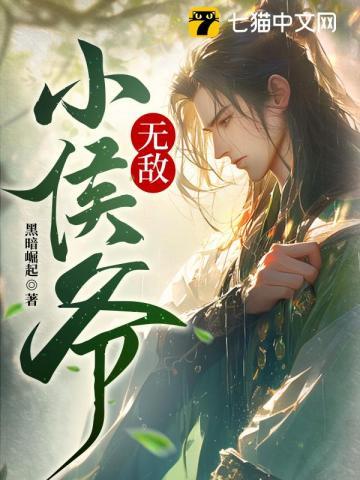 无敌小侯爷 第301章