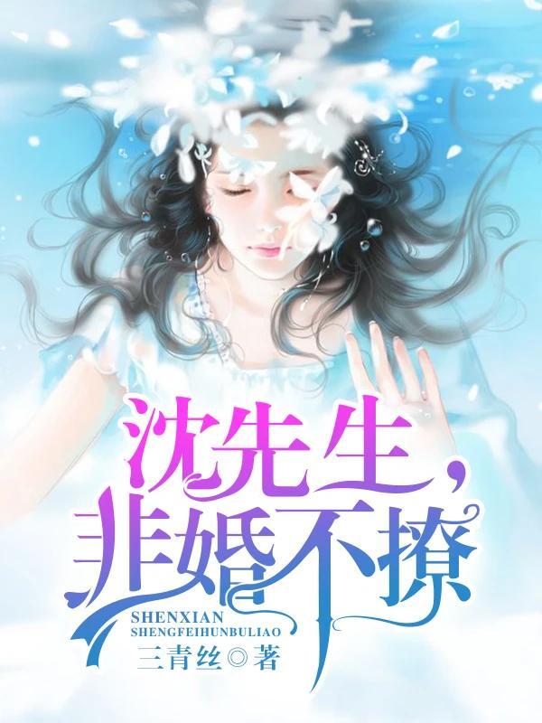 沈先生的