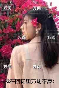 我在回忆里只爱你全文免费阅读
