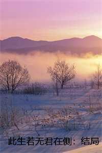 此生若无君在侧：结局+番外+完结