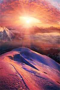 十年如梦再也不爱