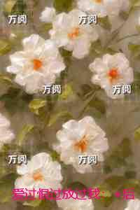 爱过恨过放过我:全集小说